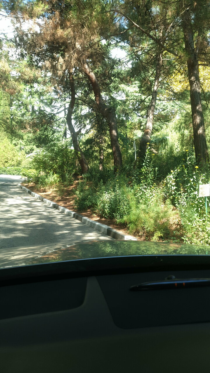 Гостиница Вилла Мишель Гурзуф-159