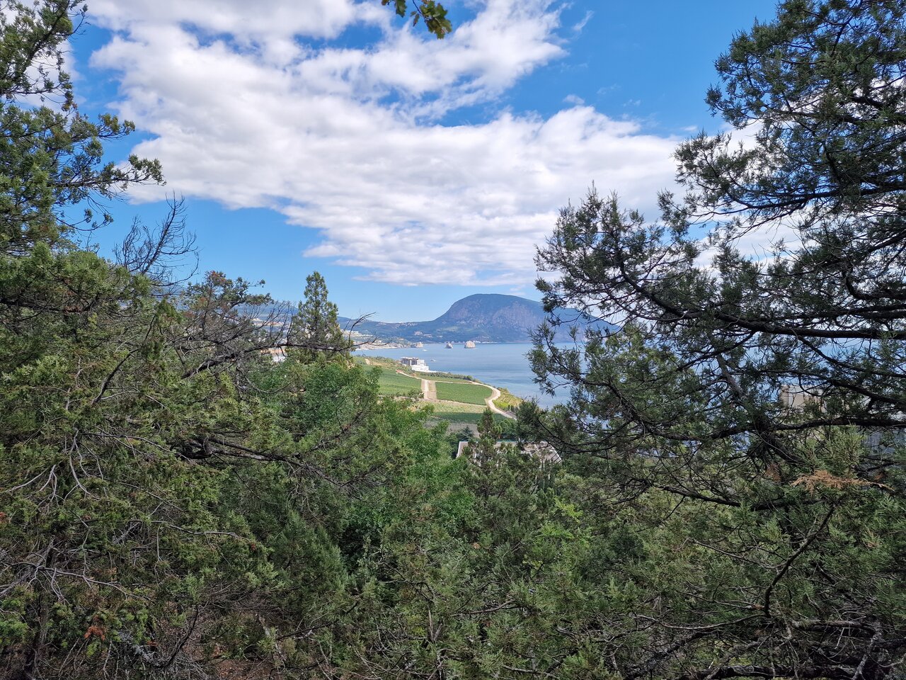 Гостиница Вилла Мишель Гурзуф-173