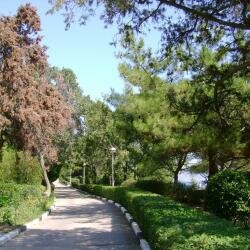 Гостиница Вилла Мишель Гурзуф-74