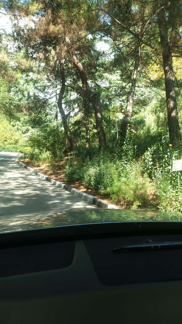 Гостиница Вилла Мишель Гурзуф-158