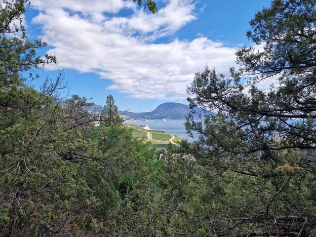 Гостиница Вилла Мишель Гурзуф-172