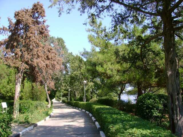 Гостиница Вилла Мишель Гурзуф-20