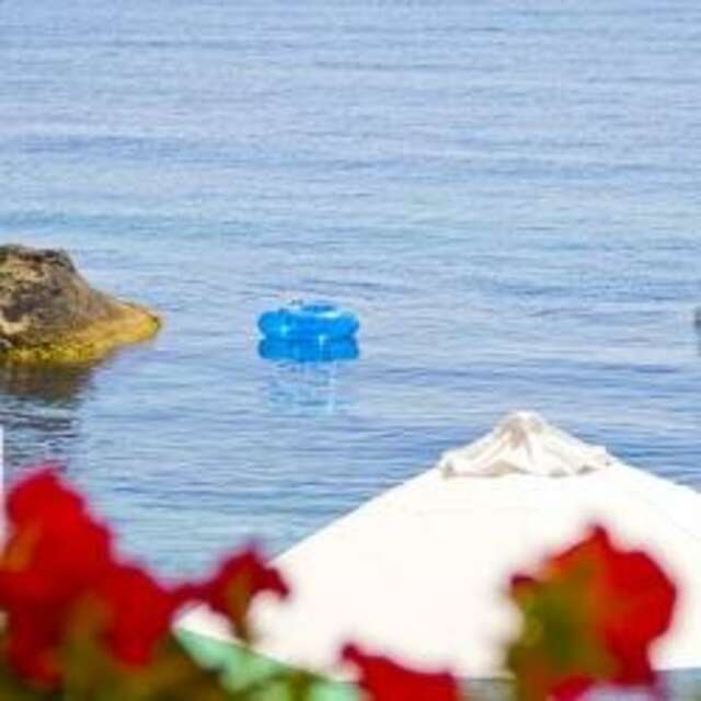 Гостиница Вилла Мишель Гурзуф-13