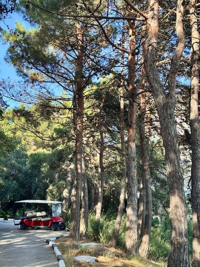 Гостиница Вилла Мишель Гурзуф-204