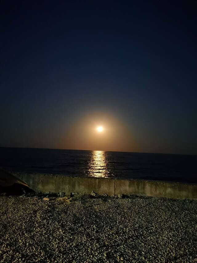 Гостиница Вилла Мишель Гурзуф-155